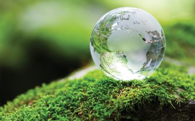 Photo of glass globe on a green, mossy rock to illustrate the article A Green Sabbath or God's Sabbath?